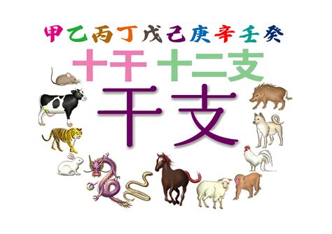 2025干支|【2025年】今年の干支は巳 (へび)！干支の順番の由。